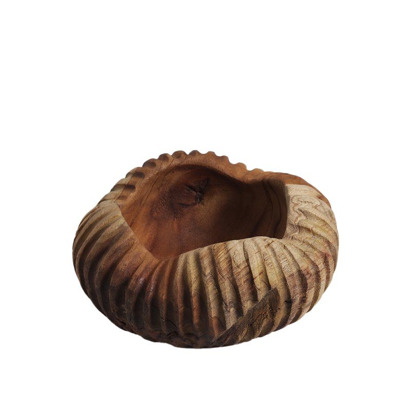 Nutshy Bowl Nutshy Bowl